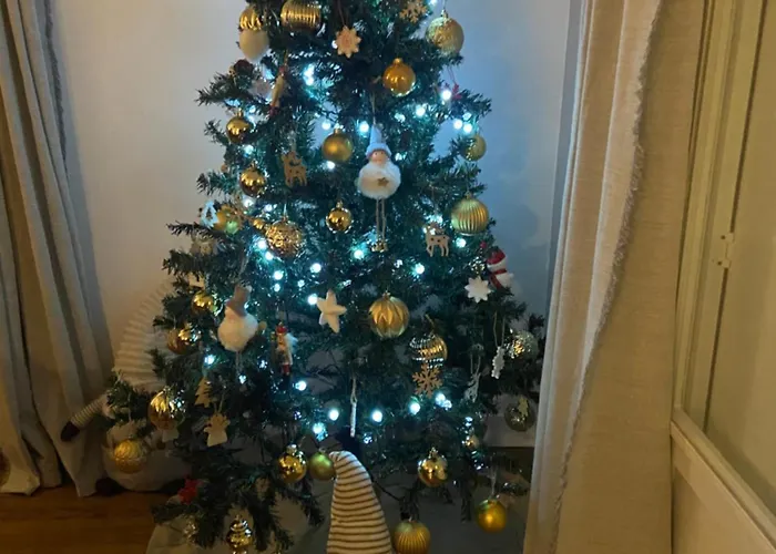 Semesterbostad De La Plaine Cubjac